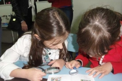 muestra anual tiempo (21)