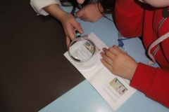 muestra anual tiempo (22)