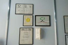 muestra anual tiempo (50)