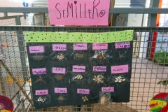 muestra anual tiempo (85)