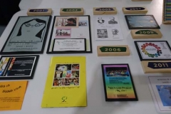 muestra anual tiempo (99)