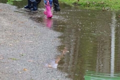 CAMPAMENTO 1ERO Y 2DO (84)