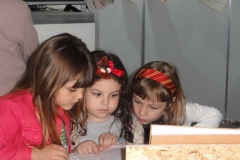 muestra anual tiempo (35)