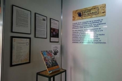 muestra anual tiempo (53)