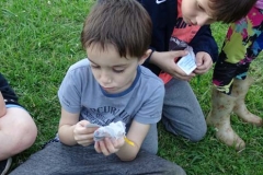 CAMPAMENTO 1ERO Y 2DO (148)